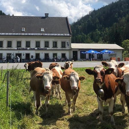 Gasthof Zum Maurer Hotel Mariazell Exterior foto